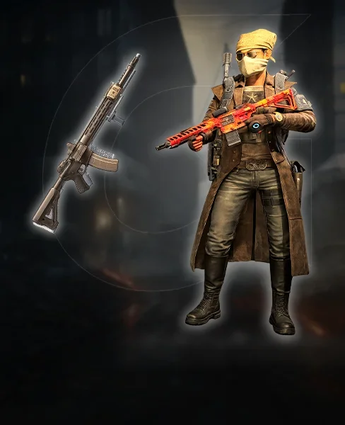Assault Rifle PvE Build
