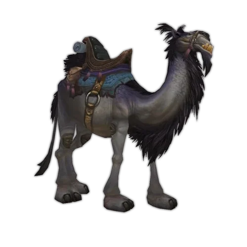 Grey Riding Camel Mount – WoW Cataclysm Service | Grindout