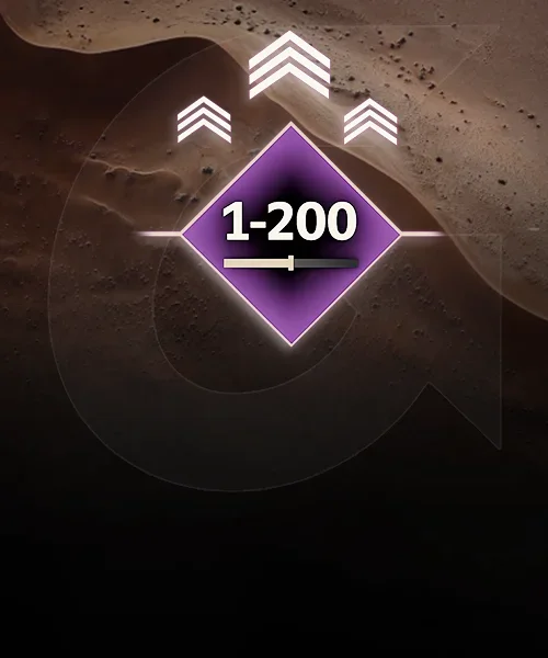 Leveling Service
