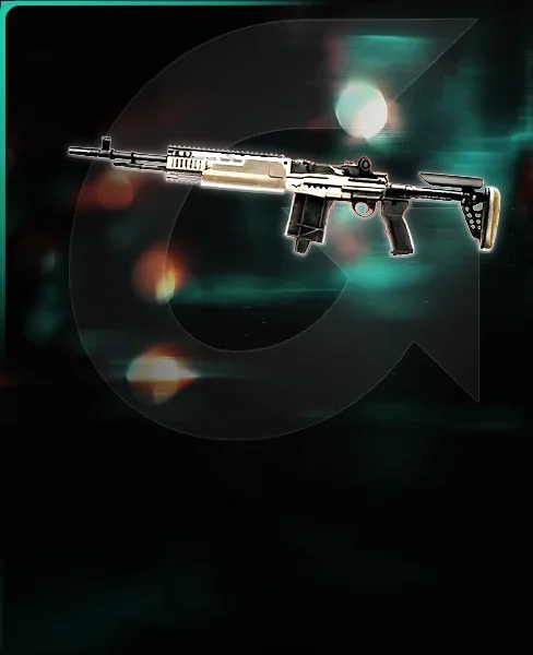 M39 EMR (DMR)