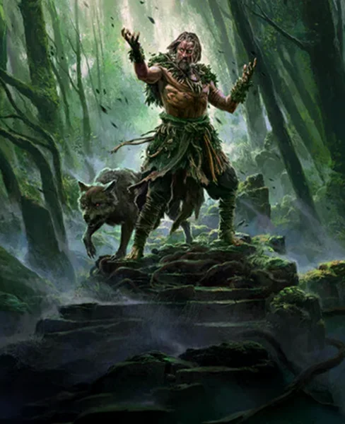 Druid Builds
