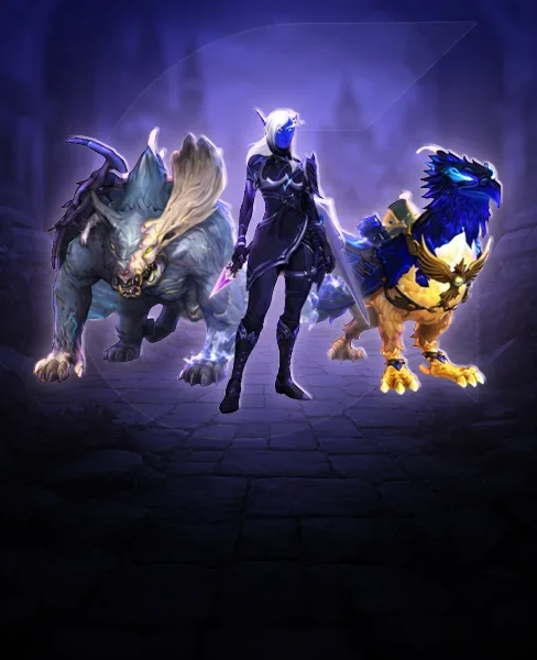 Midnight Raid Bundles