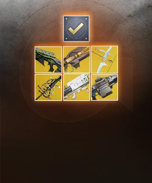 Exotics & Catalysts