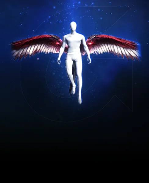Wings of Knighthood