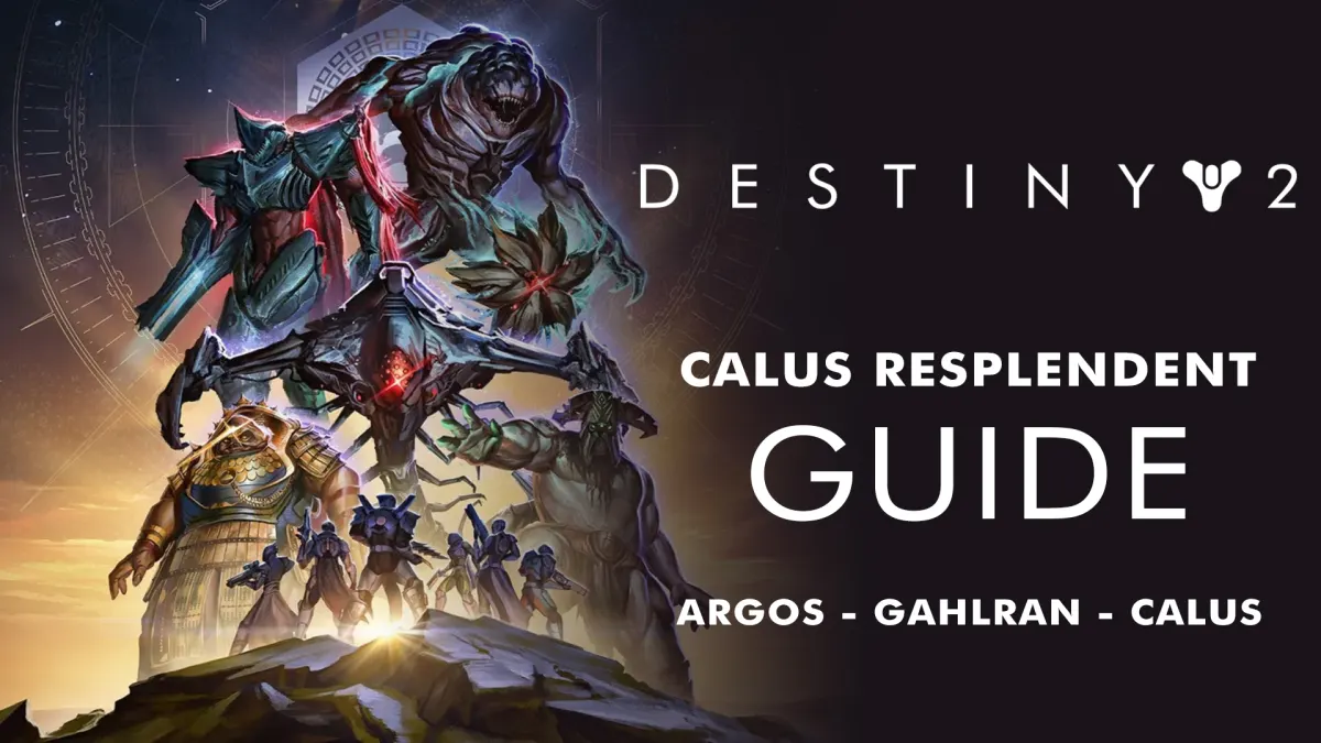 calus resplendent