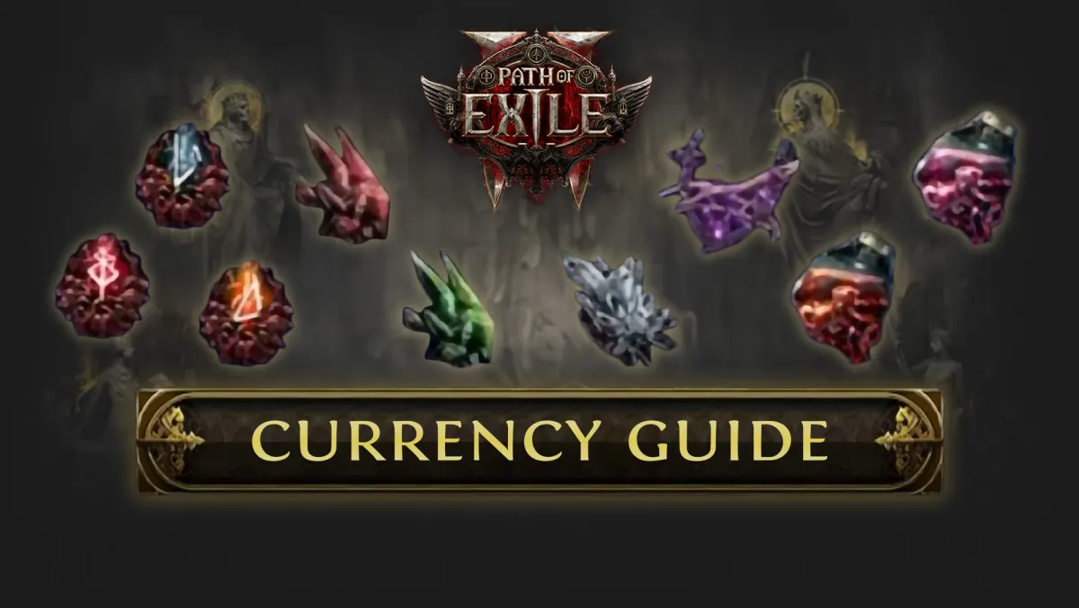 currency guide